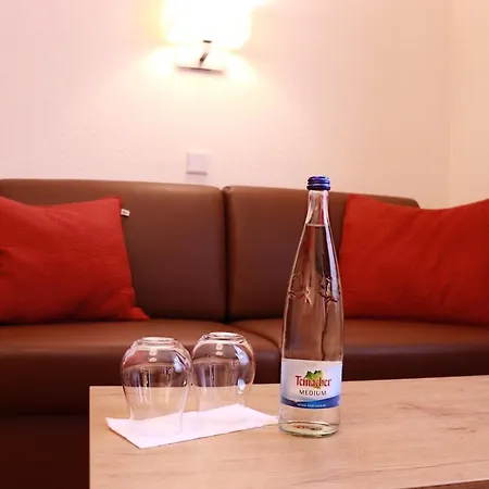 Hotel Restaurant Schwarzer Adler 3*