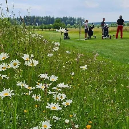 Restaurant Schwarzer Adler באד סאולגאו