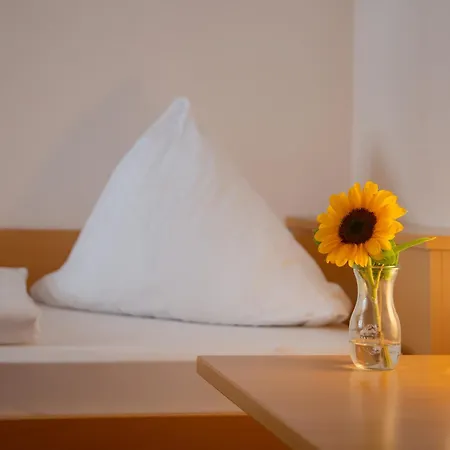 Restaurant Schwarzer Adler 3* באד סאולגאו